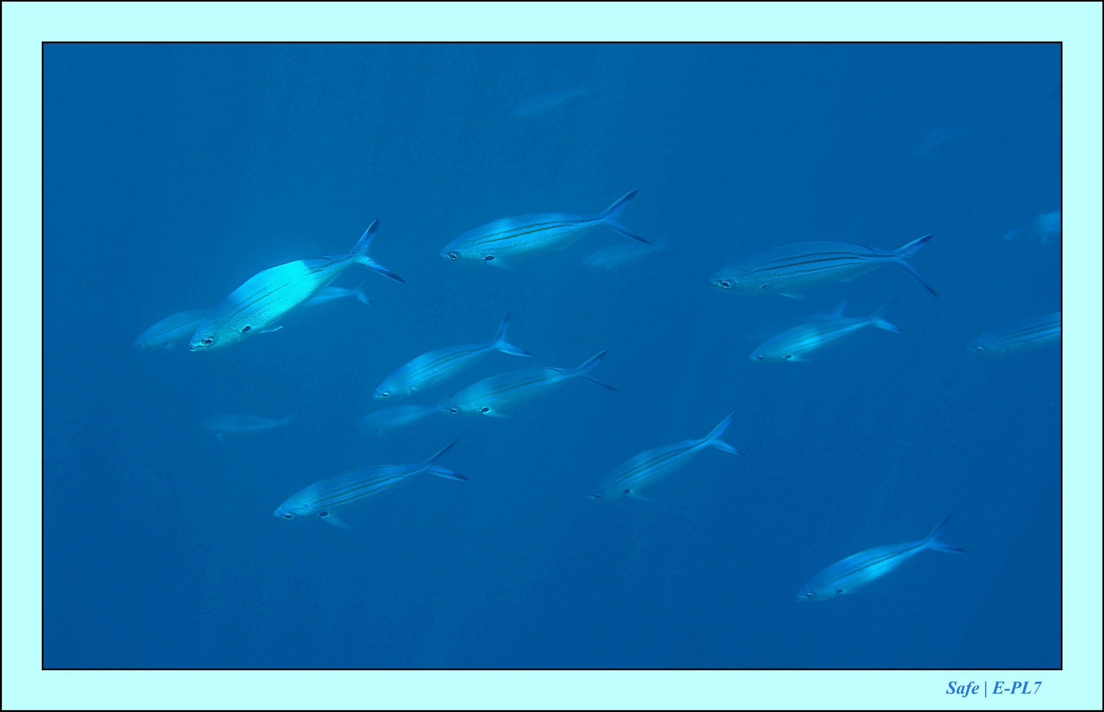 2023 - 07 - Sandies Bathala - 122